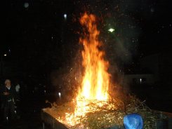 OLYMPUS DIGITAL CAMERA